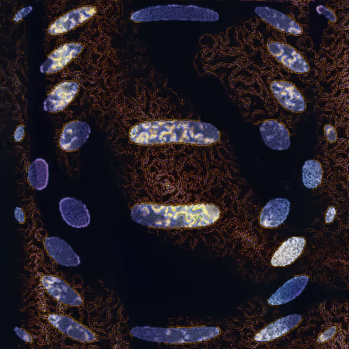 Item #416000232 Media