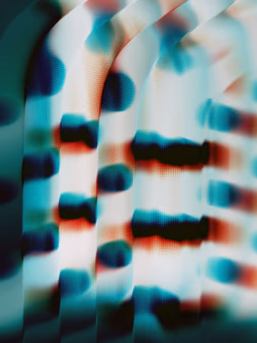 Item #484000051 Media