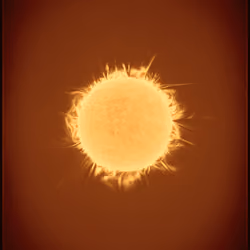 Solar Transits #182