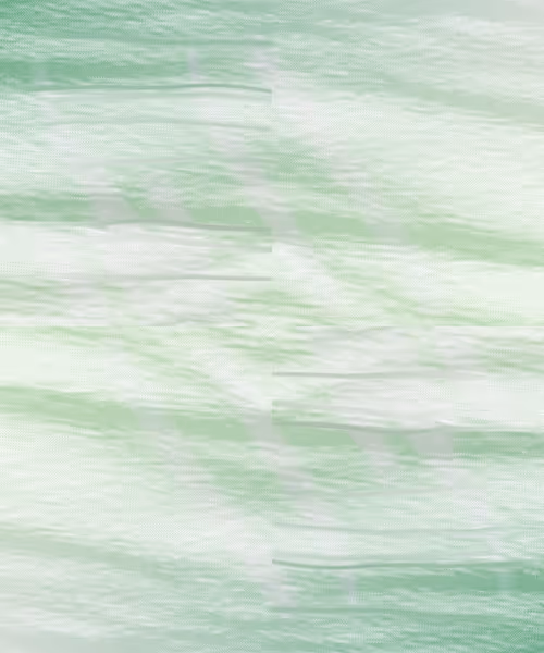 Item #405000067 Media