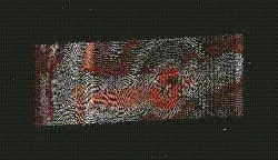 l.o #109