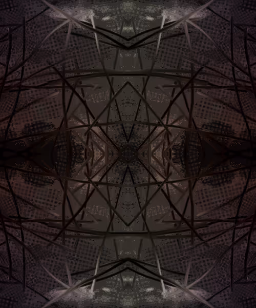 Item #405000079 Media