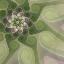 Volute #6
