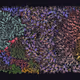 456000286