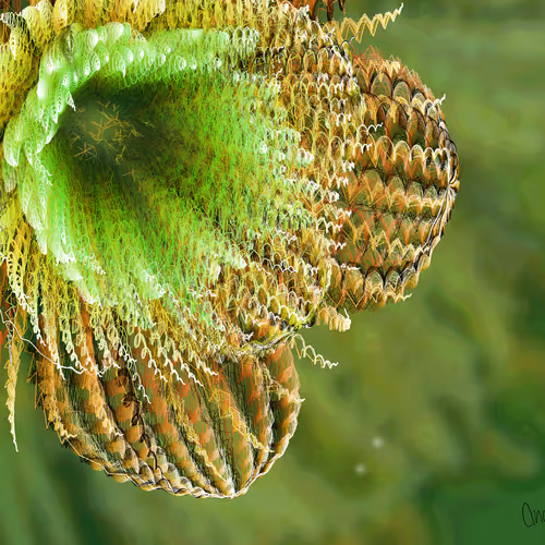 Fleur #260