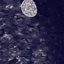 Voyager #48