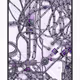 436000009