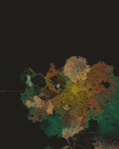 Item #458000139 Media