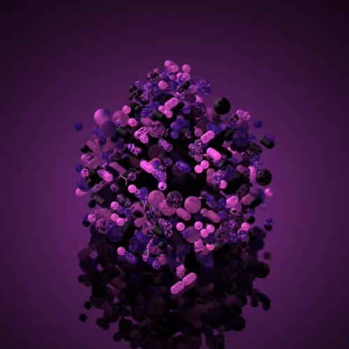 VOXΞL #236