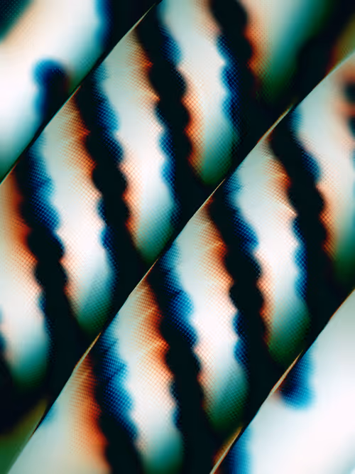 Item #484000317 Media