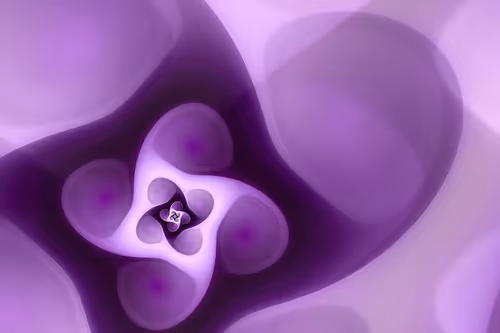 Item #394000095 Media