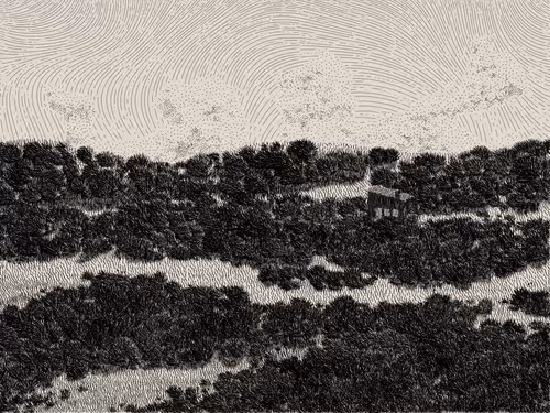 Item #476000121 Media