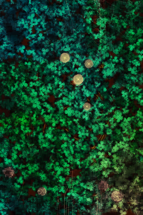 Item #478000004 Media