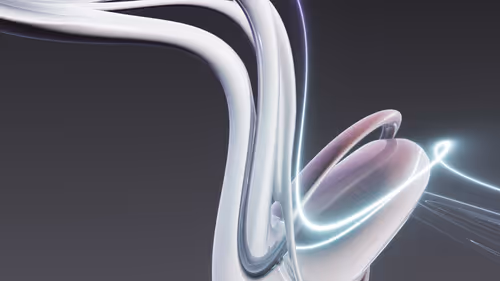 Item #438000215 Media