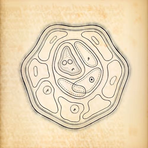 Cytographia By Golan Levin