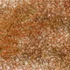 397000079