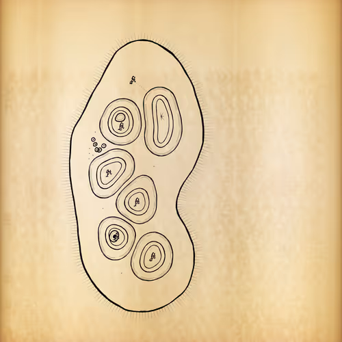 Cytographia By Golan Levin