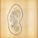Cytographia #35
