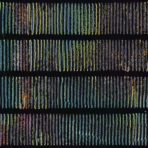 Item #416000143 Media