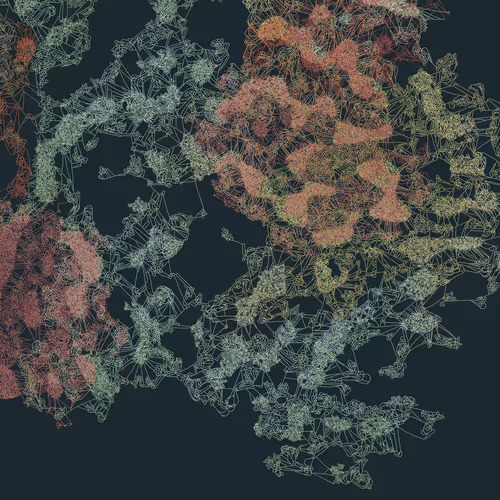 Mycelia By Jmy