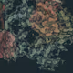 458000131