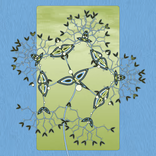 Item #380000108 Media