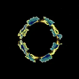 Item #395000138 Media