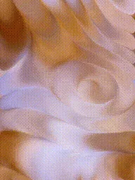 Item #399000267 Media