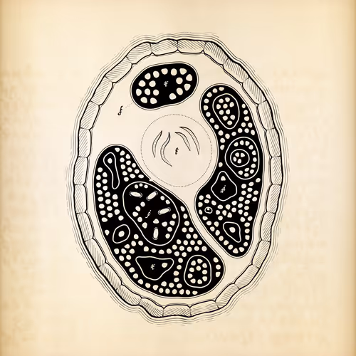 Item #487000096 Media