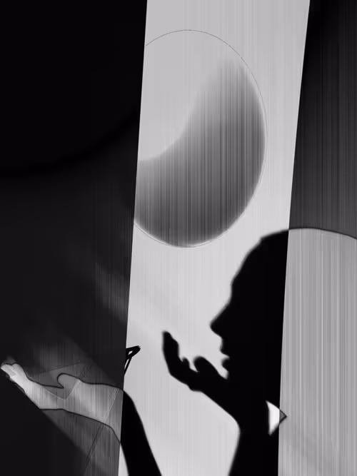 Item #455000236 Media