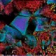 472000460