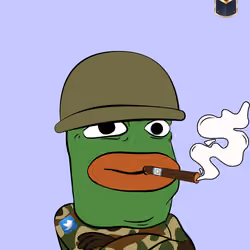 51