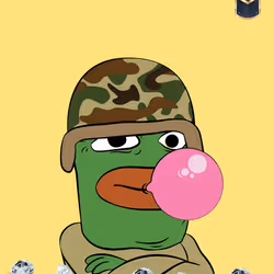 41
