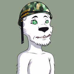 Panther #1342