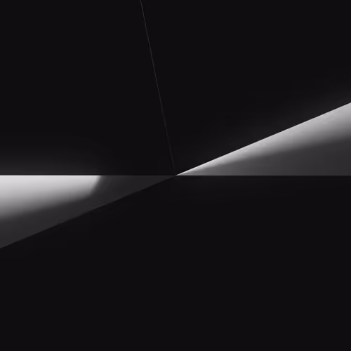 Item #100060001 Media