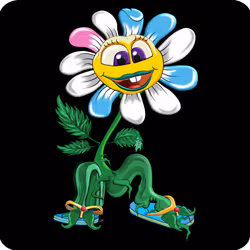 253
