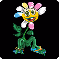 509