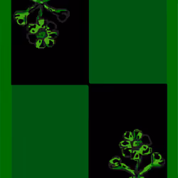 Atomic Pepe 40