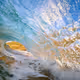 Wave Photos