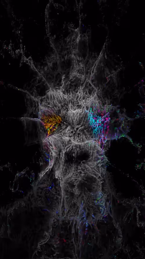 Item #36500050004 Media