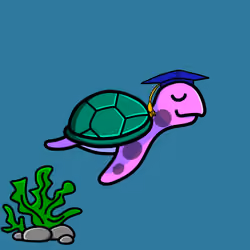 Toddler Turtle #840