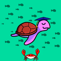 Toddler Turtle #118