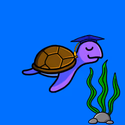 Toddler Turtle #708