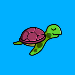 Toddler Turtle #706