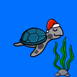 Toddler Turtle #315