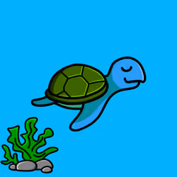 Toddler Turtle #687
