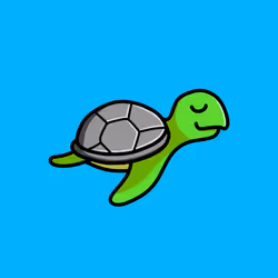 Toddler Turtle #839
