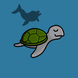 Toddler Turtle #531