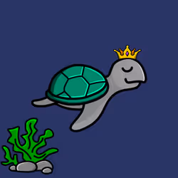 Toddler Turtle #581