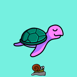 Toddler Turtle #841